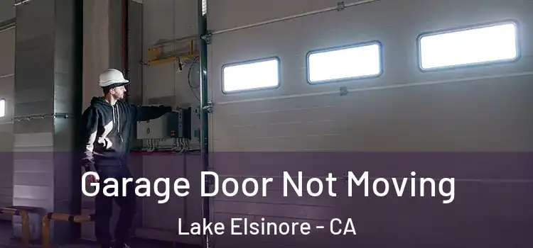  Garage Door Not Moving Lake Elsinore - CA