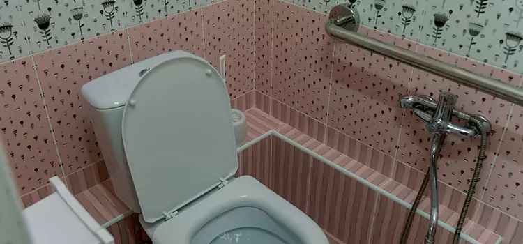 Meeting Diverse Needs With Accessible Restroom Solutions in Lake Elsinore, CA